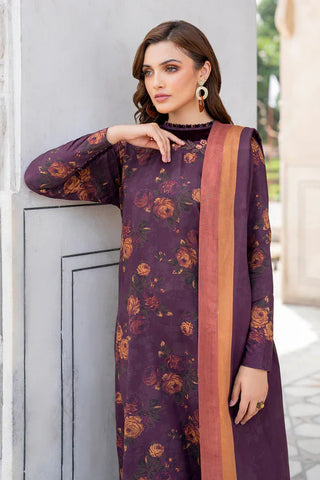 Shahanah 3PC Karandi Printed Suit-828