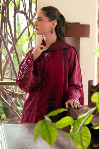 Shahanah 3PC Karandi Printed Suit-829